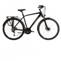 Trans 8.0 (28'') L BlackGrey (VII) bike