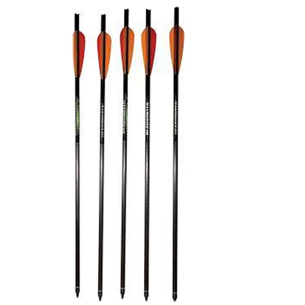 FIBERGLASS 18" RECURVE arbaletu bultas kompl.5gb.