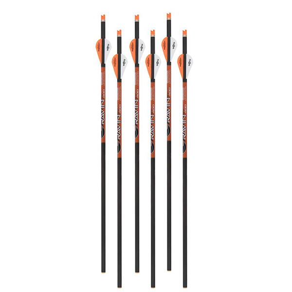 CARBON RAVIN ar ORANGE NOCKS .003 arbaletu bultas kompl.6 gb.